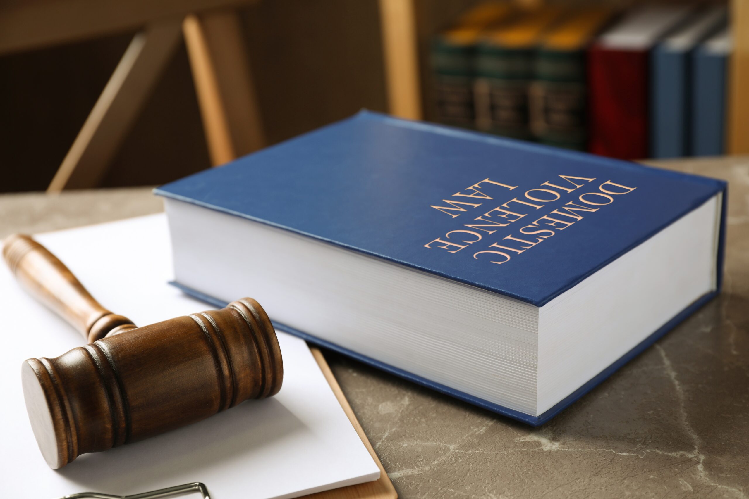 Blue "Domestic Violence Law" book beside a wooden gavel on a desk